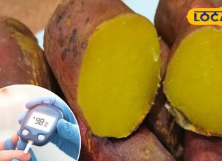 Diabetes Remedy: शुगर के मरीजों के लिए रामबाण है ये नुस्खा, दादी-नानी के समय से हो रहा इस्तेमाल