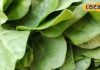 Winter Superfoods: इम्यूनिटी बढ़ाने के लिए सर्दियों में जरूर खाएं ये हरी पत्तेदार सब्जी, खून की कमी करती है दूर