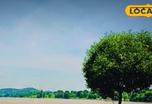 झारखंड की ये जगह प्री-वेडिंग शूट और हनीमून के लिए बेस्ट, यहां मिलेगा गोवा वाला मजा, सेफ भी – Bharat.one हिंदी