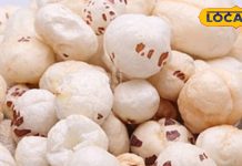 शुगर को पानी की तरह सोख लेता है यह ड्राई फ्रूट्स, डायबिटीज के लिए तो है रामबाण, जान लें खाने का तरीका – Bharat.one हिंदी