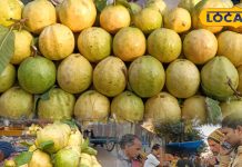 अपनी मिठास से धमाल मचा रहा सेब जैसा यह अमरूद, इसके गुलाबी रंग के दीवाने हैं लोग, यहां रोजाना 50-60 क्विंटल की खपत – Bharat.one हिंदी