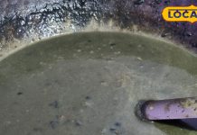 पहाड़ की ‘भट्ट दाल’ का टेस्ट है लाजवाब, गेहूं का आटा डालकर होती है तैयार, स्वाद ऐसा कि मेहमान चाटते रह जाएंगे उंगलियां