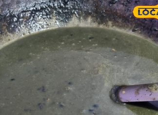 पहाड़ की ‘भट्ट दाल’ का टेस्ट है लाजवाब, गेहूं का आटा डालकर होती है तैयार, स्वाद ऐसा कि मेहमान चाटते रह जाएंगे उंगलियां