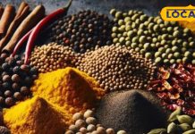 सर्दियों की दस परेशानियों को दूर करे यह छोटी सी चीज, माइग्रेन और तनाव की कर देगी छुट्टी, रसोई में रहती मौजूद