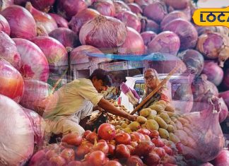 बनाना है लबाबदार जायका तो कीजिए इस प्याज का इस्तेमाल, जीभ से नहीं उतरेगा चिकन-मटन का स्वाद – Bharat.one हिंदी