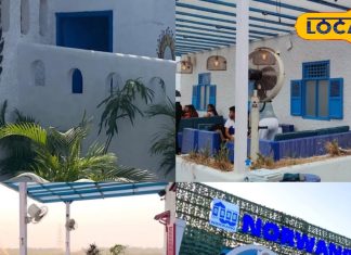 ग्रीस शहर जैसा लुक है दिल्ली के इस कैफे का, स्वादिष्ट भोजन खाने वालों की लगती है भीड़, दूर-दूर तक है फेमस