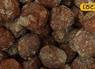 क्या डायबिटीज के मरीज गुड़ खा सकते हैं या नहीं? एक्सपर्ट से जानिए इसका जवाब