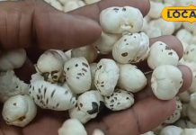 सर्दियों में दूध के साथ करें इस सफेद चीज का सेवन… हड्डियां बनेगी लोहे जैसी मजबूत! जानें और फायदे