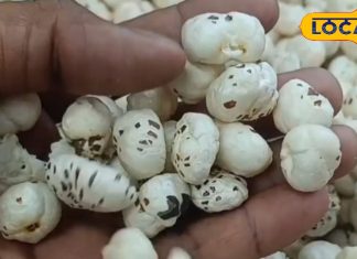 सर्दियों में दूध के साथ करें इस सफेद चीज का सेवन… हड्डियां बनेगी लोहे जैसी मजबूत! जानें और फायदे