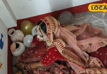 यहां दूल्हा नहीं, दुल्हन होती है हाथी पर सवार..शादी के पहले निभाती है अनोखा रिवाज, करती है इस मंत्र का जाप