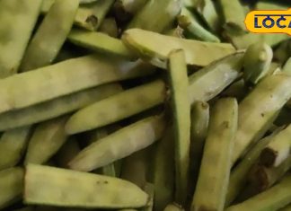 गर्भवती महिलाओं के लिए वरदान से कम नहीं है ग्वारफली, जानें सेवन के फायदे