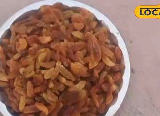 सर्दियों में बार-बार होते हैं बीमार, गांठ बांधें ये बात, बीमारी नहीं आएगी पास