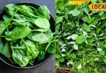 क्या ठंड के मौसम में रात में खाना चाहिए हरा साग? क्या कहता है आयुर्वेद? यहां जानें सब