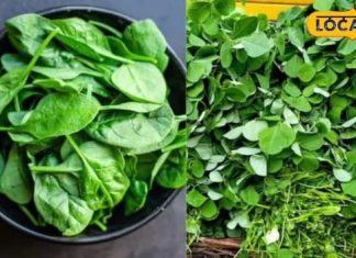 क्या ठंड के मौसम में रात में खाना चाहिए हरा साग? क्या कहता है आयुर्वेद? यहां जानें सब