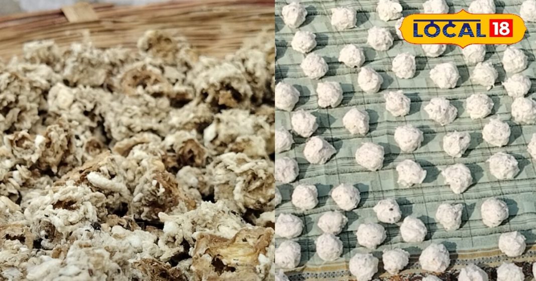 गर्भवती महिलाओं के लिए लाभकारी है यह बड़ी, घर पर ऐसे कर सकते हैं तैयार