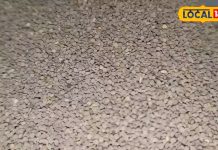 Khurasani Ajwain Benefits: लीवर से लेकर कब्ज-कोलेस्ट्रॉल तक…इस औषधि से ठीक हो जाएगी हर बीमारी, आंखे हो जाएंगी सबसे तेज!