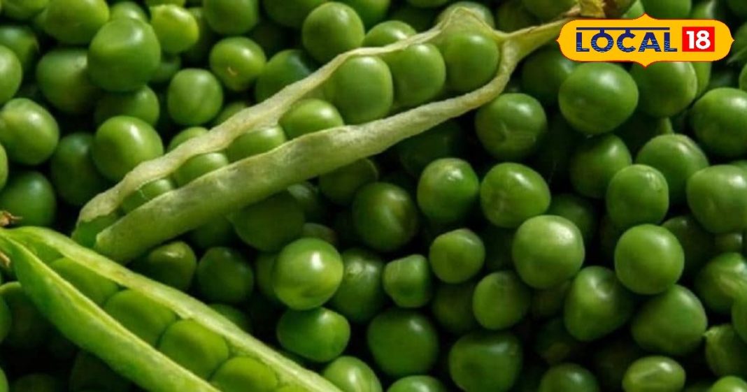 औषधीय गुणों से भरपूर है मटर, इन बीमारियों के रोकथाम में है कारगर