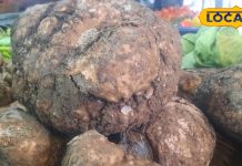 सर्दियाें में इस सब्जी का करें सेवन, कई बीमारियों से लड़ने में है सहायक