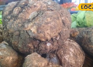 सर्दियाें में इस सब्जी का करें सेवन, कई बीमारियों से लड़ने में है सहायक