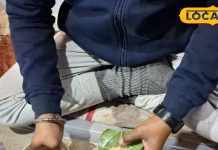 पान की खास किस्मों के लिए जाना जाता है गाजीपुर, बिना दांत वाले भी ले सकते हैं मजा, स्वाद ऐसा की दीवाना बना दे