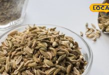 Benefits of Ajwain for female ultimate cure for periods Make digestive system strong Carom Seeds ke fayde