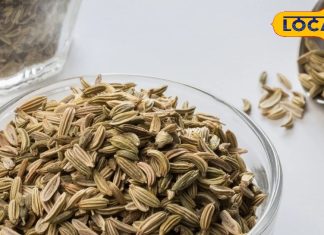 Benefits of Ajwain for female ultimate cure for periods Make digestive system strong Carom Seeds ke fayde
