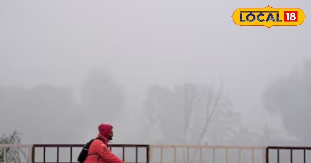 आयुर्वेद के अनुसार सर्दियों में इन 5 चीजों के सेवन करें परहेज… पढ़ें ये नसीहत