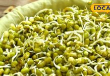 Green gram is the best source of protein, it strengthens the muscles, it is also very beneficial for eyes and skin – Bharat.one हिंदी