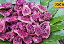 सर्दियों का सुपरफूड! डायबिटीज कंट्रोल में मददगार, सेहत के लिए वरदान है ये फल