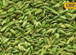 औषधीय गुणों का भंडार है यह सुगंधित मसाला, गैस, अपच और पेट दर्द का है अचूक दवा
