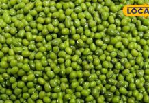 Moong dal is a low calorie super food helps in detoxifying the body Regular consumption keeps immune system strong