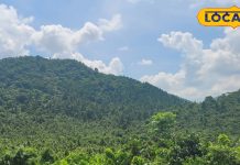 ये बिहार बा! सर्दियों में अपने चरम पर होती है यहां की खूबसूरती, देखें फोटो