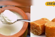 गुड़ के साथ दही खाना तो ठीक…पर दूध पी लिया तो क्या होगा? आयुर्वेदाचार्य ने बताए फायदे-नुकसान