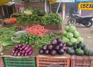 सर्दियों में जरूर खाएं ये चीज…शरीर में कभी नहीं होगी प्रोटीन की कमी, सारी बीमारियां रहेंगी दूर!