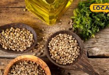 भांग के बीज के बिना नहीं बनती पहाड़ों की अधिकतर सब्जियां, फिर क्यों इन्हें खाकर नहीं झूमते लोग?