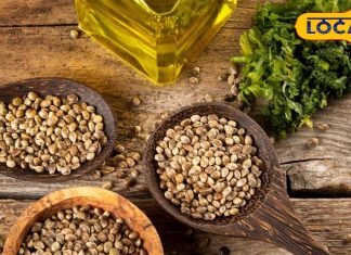 भांग के बीज के बिना नहीं बनती पहाड़ों की अधिकतर सब्जियां, फिर क्यों इन्हें खाकर नहीं झूमते लोग?