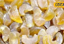 सर्दियों का सुपर फूड, दवाइयों का है बाप, मिठाई बनाएं या सब्जी और जूस, पास नहीं आएगी कोई बीमारी