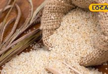 Jhangora Benefits: सेहत का खजाना है पहाड़ का झंगोरा, पेट से लेकर हार्ट तक के लिए फायदेमंद