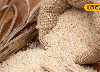 Jhangora Benefits: सेहत का खजाना है पहाड़ का झंगोरा, पेट से लेकर हार्ट तक के लिए फायदेमंद