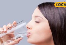 पानी भी जूस जैसे फायदे देगा…बस मिला लें ये 5 चीजें, मुंह से गायब हो जाएगी बदबू, दिल भी बनेगा शक्तिशाली! – Bharat.one हिंदी