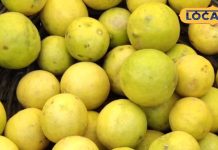 गर्मियों में ताजगी के लिए नहीं, सर्दियों में इम्यूनिटी के लिए पिएं नींबू-पानी, कोसों दूर रहेंगी बीमारियां!