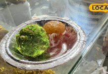 पान के लड्डू…मुंह में डालते ही मन होगा मगन, इस मिठाई के भोपाली दीवाने, रोज 20,000 की सेल