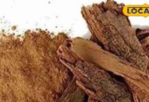 मामूली सी दिखने वाली ये लकड़ी देती है चमत्कारिक फायदे, ऐसे करें इस्तेमाल