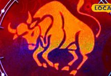 Vrishabh Rashi: जीवनसाथी के बीच होगी खटपट…ये दो योग चमकाएंगे किस्मत, वृषभ राशि वाले बस कर लें ये काम