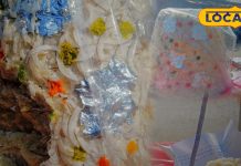 UP का ये स्पेशल डिश भरतपुर में मचा रहा धूम, सर्दियों में शरीर के लिए बेहद फायदेमंद, इन चीजों का मिश्रण