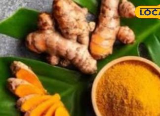 Raw Turmeric Benefits: डार्क सर्कल से लेकर धाग-धब्बे तक…स्किन प्रॉब्लम का इलाज कच्ची हल्दी, इस तरह करें इस्तेमाल