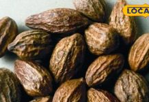 दिसंबर के महीने में पेड़ों पर लगते है ये फल, खाते रहेंगे तो हमेशा दिखेंगे जवान, कोई साइडइफेक्ट भी नहीं