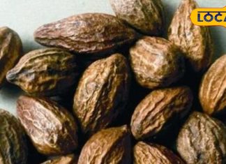 दिसंबर के महीने में पेड़ों पर लगते है ये फल, खाते रहेंगे तो हमेशा दिखेंगे जवान, कोई साइडइफेक्ट भी नहीं