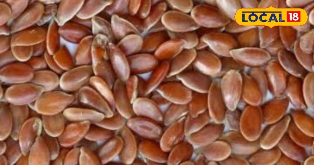 ‘अमृत’ से कम नहीं यह बीज, कैंसर-हार्ट अटैक से करता है बचाव, हड्डी और पाचन तंत्र को रखता है मजबूत