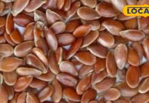 ‘अमृत’ से कम नहीं यह बीज, कैंसर-हार्ट अटैक से करता है बचाव, हड्डी और पाचन तंत्र को रखता है मजबूत